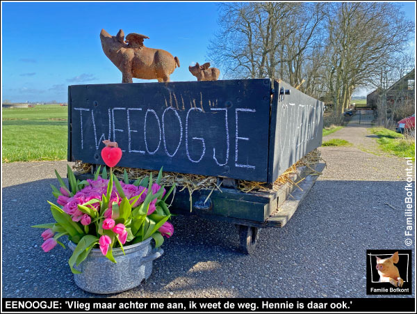 EENOOGJE: 'Vlieg maar achter me aan, ik weet de weg. Hennie is daar ook.'