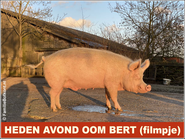 HEDEN AVOND OOM BERT (filmpje)