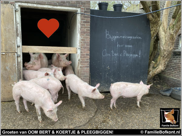 Groeten van OOM BERT & KOERTJE & PLEEGBIGGEN