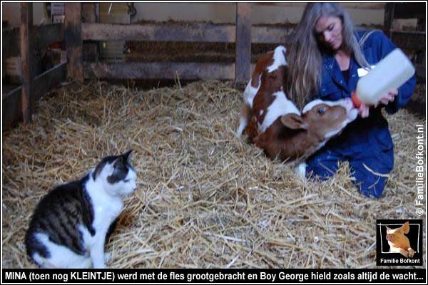 MINA (toen nog KLEINTJE) werd met de fles grootgebracht en Boy George hield zoals altijd de wacht...